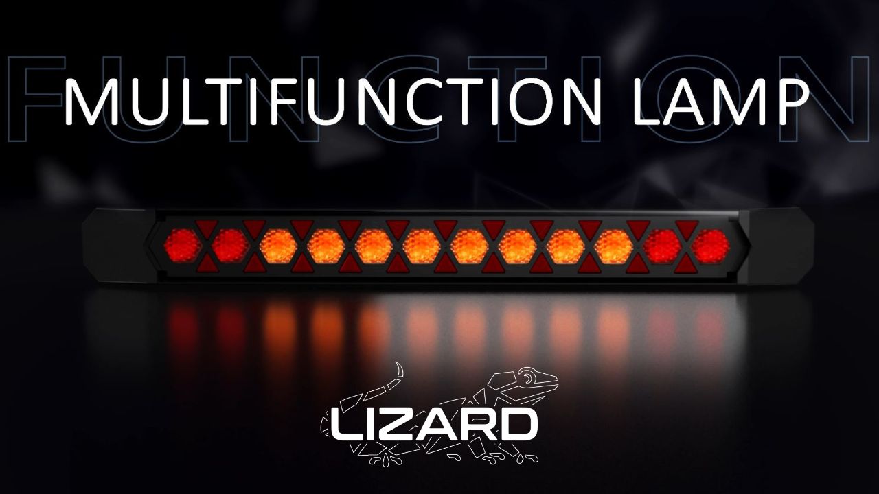 Rear multifunction light with dynamic direction indicator LIZARD